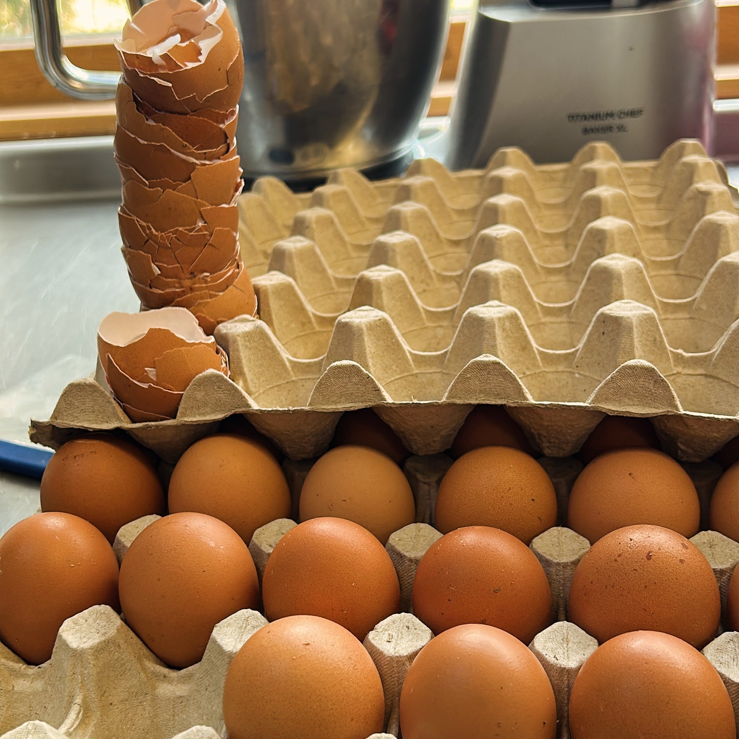 Free range eggs 6pc