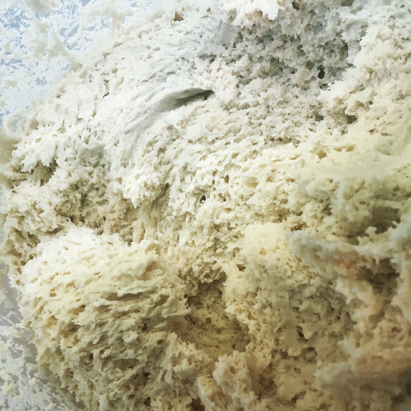 200g Fresh Dough Ferment