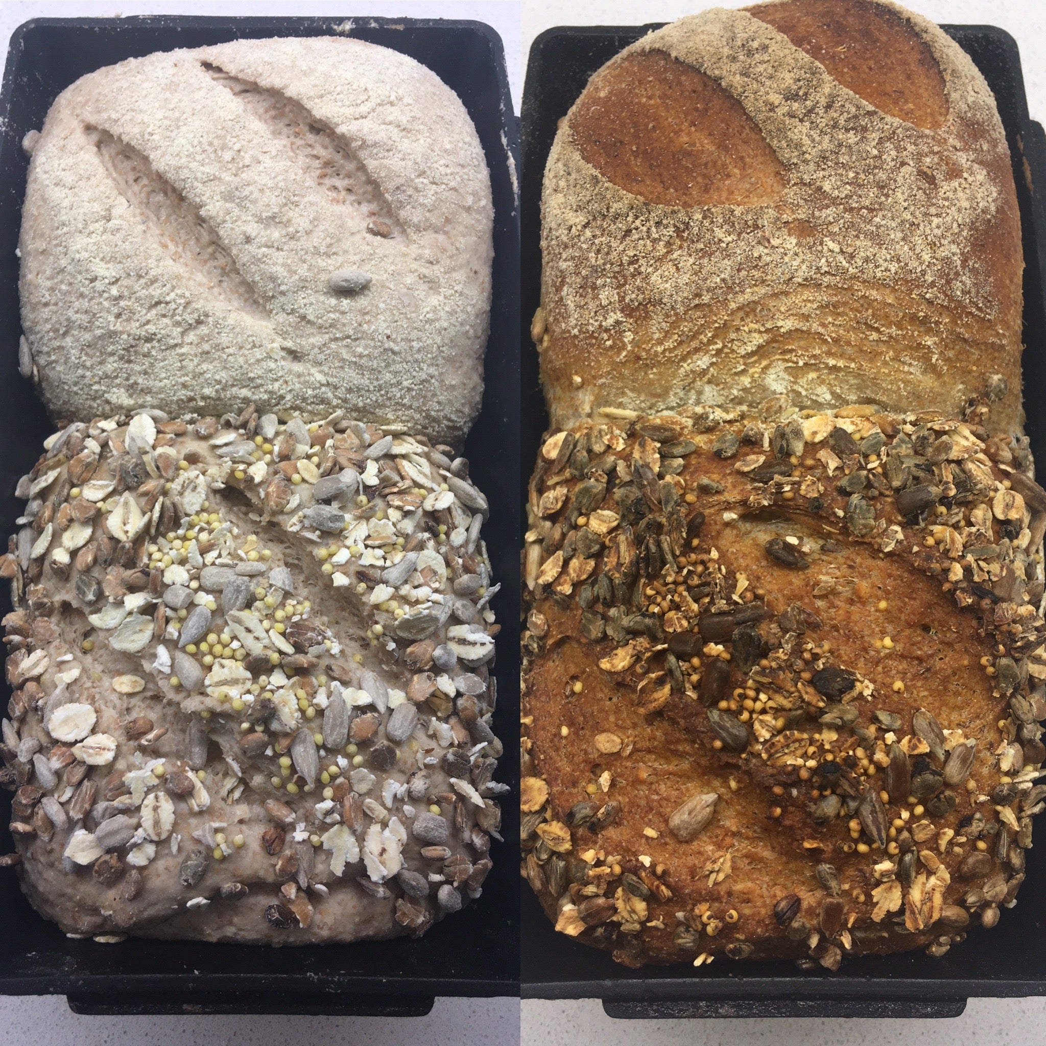 Breads