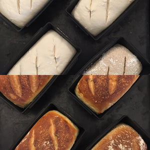 Organic fresh yeast bread
