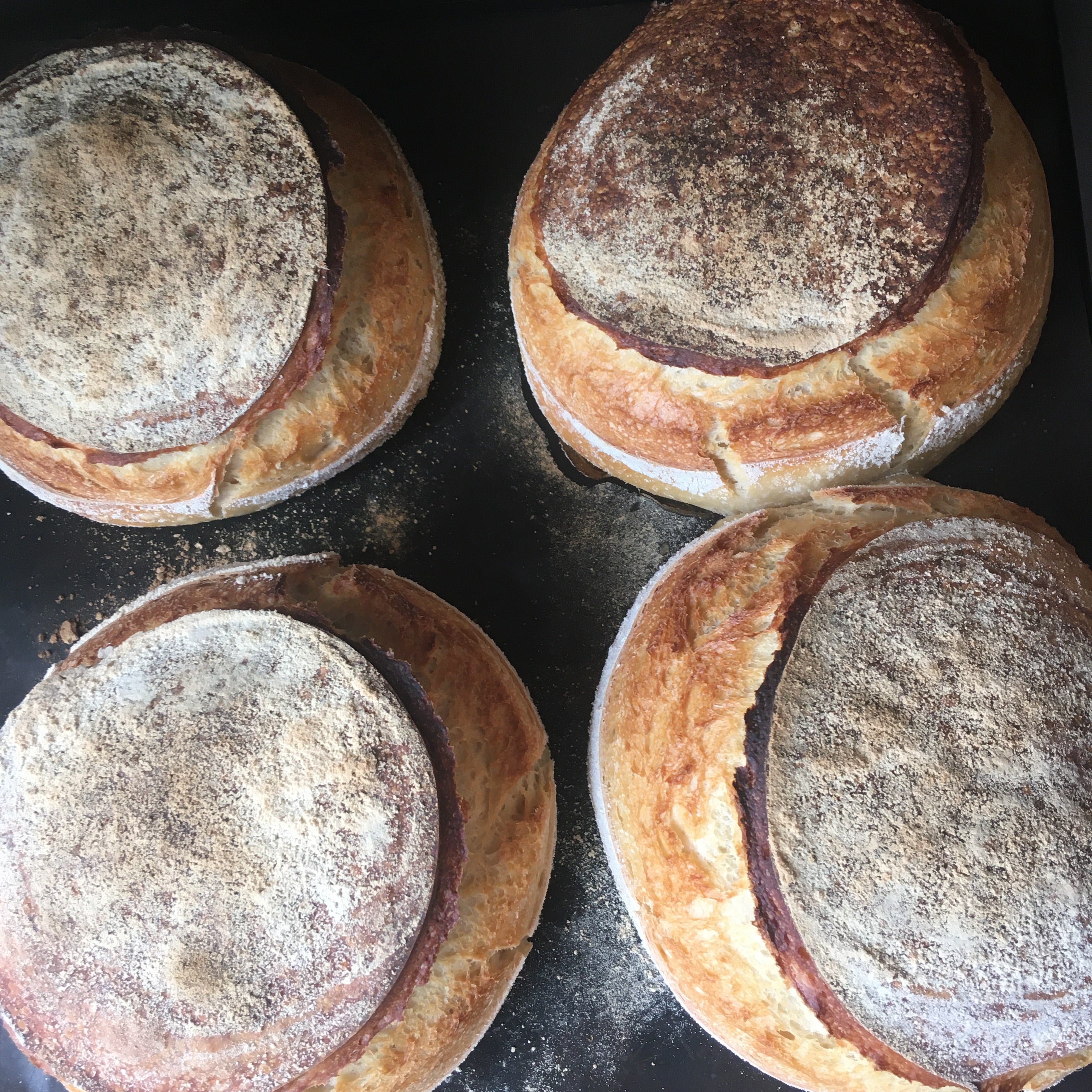 Organic sourdough bread
