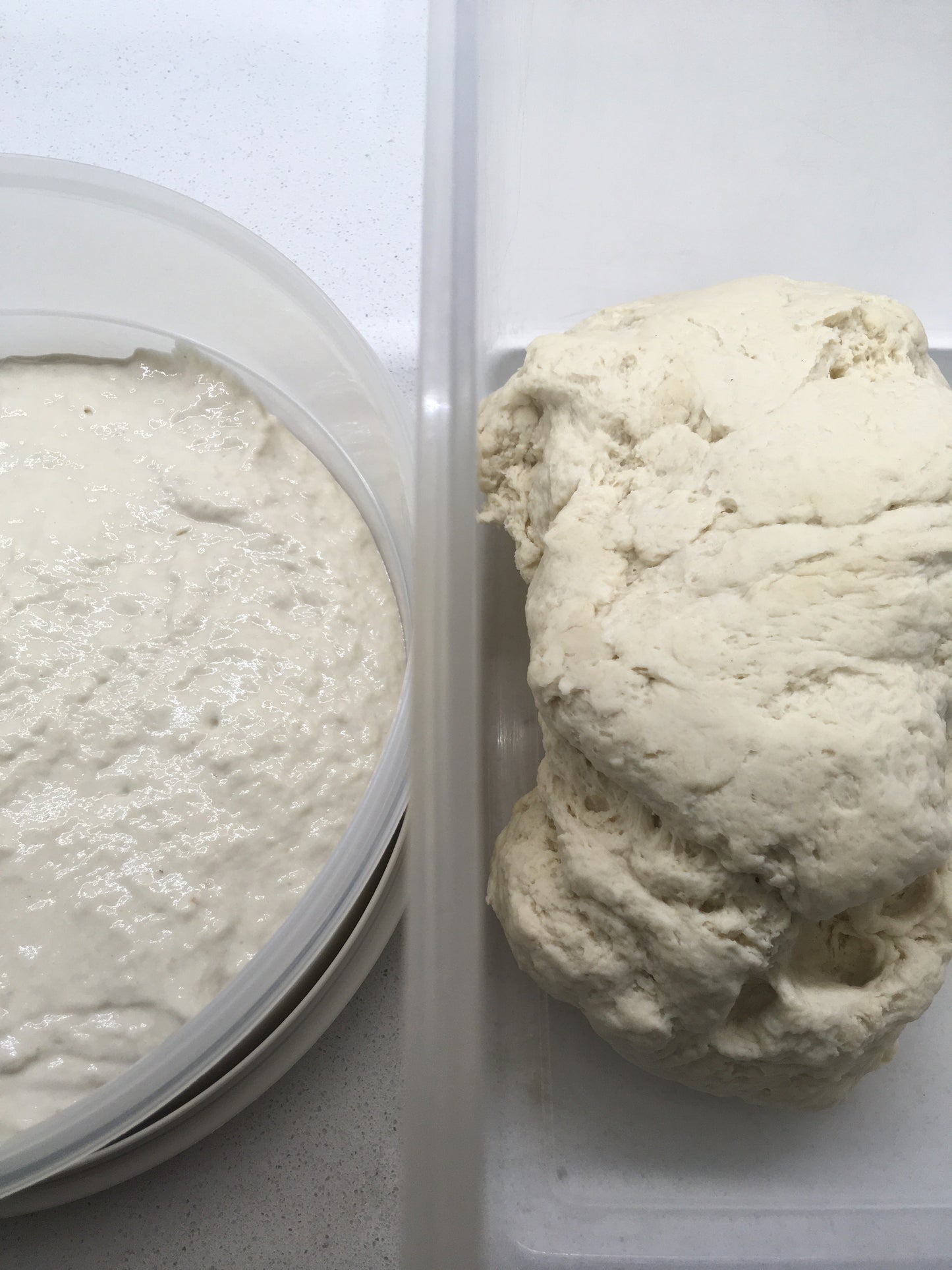 200g Fresh Dough Ferment